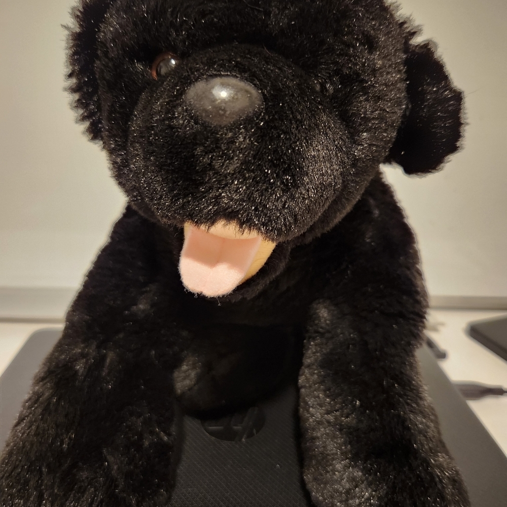 Build-a-Bear black labrador retriever stuffed animal dog.